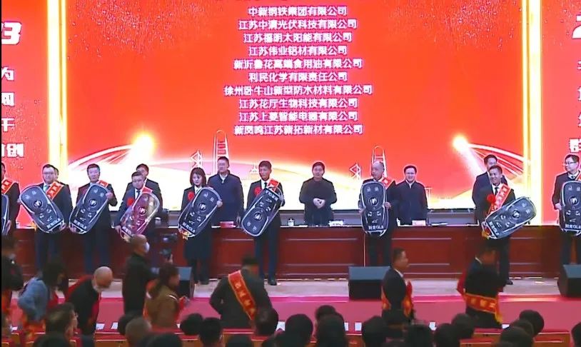 江苏BBIN宝盈集团喜获新沂经开区“凸起贡献”“金牌项目”双项荣誉